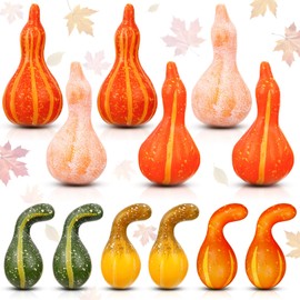 Geelin 12 Pcs Artificial Pumpkin Gourd Fall Decoration 4.5 Inch Lifelike Gourd Mix Colors 2 Shapes Fake Pumpkin for Autumn Decor Home Farmhouse Table Thanksgiving Vase Filler Harvest Tiered Tray Set