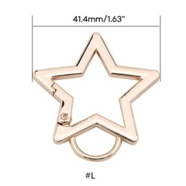 Star Shaped Stainless Steel Keychain, Car Keychain, Carabiners for Keys and Wallet Accessory with Key Chain Rings（41mm） (Gold)