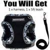TEEMERRYCA No Pull Step in Small Dog Harness and Leash