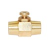Joywayus Brass 1/4" NPT Female Thread Push Button Check Valve