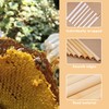 100Pcs Natural Mason Bee Tubes Eco-Friendly Beekeeper Nesting Refill Tubes