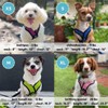 Gooby Comfort X Step in Lite Dog Harness - Choke