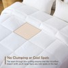 DWR 100% Cotton Lightweight Down Alternative Comforter, Queen (88x88)