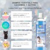 Fancy Pets Shampoo Essentials para Cachorros y Gatitos 500 ml