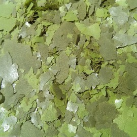 Aquatic Foods Inc. Intense Multi Vegetable & Spirulina Plus Flakes for African Cichlids, Central & South American Cichlids, Tetras, Live Bearers, All Tropical Fish…AF Flakes...1/2-lb