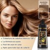 Hair Dye Shampoo Champú Tinte Instantáneo Suave Delicado Cobertura Canas