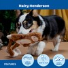 BARK Hairy Henderson Sasquatch Plush Dog Toy, Brown, Bigfoot Design