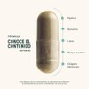 Life 360 Enzimas Digestivas Papaya 180 Cápsulas 1100mg Por Porción
