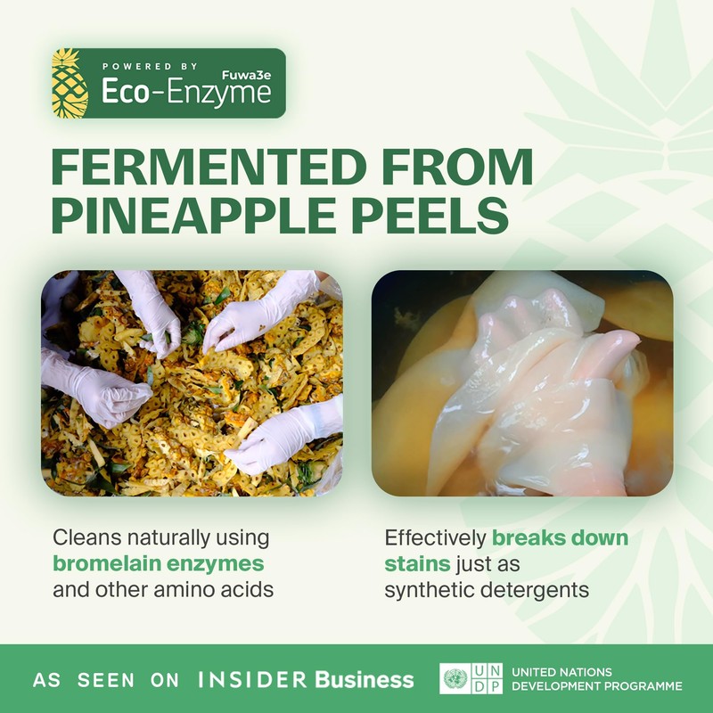 Fuwa3e Pineapple Enzyme Natural Toilet Bowl Cleaner Halcyon Eucalyptus -