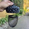 Hanging Acorn Shaped Bird Nut Feeder