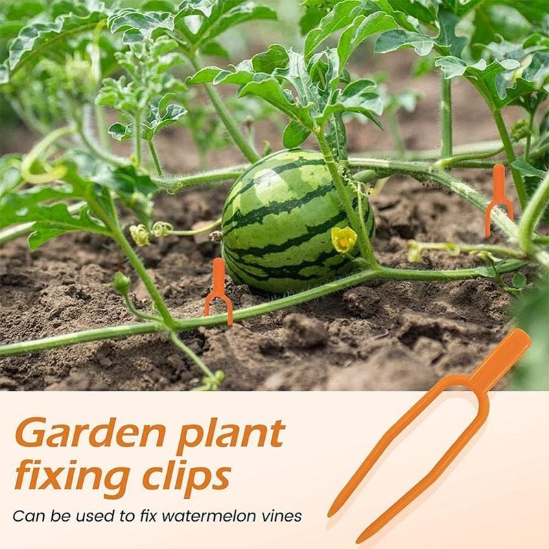 Juroicessry 50Pcs Gardening Plant Fixing Clips,Plastic Plant Climbing Support Clips