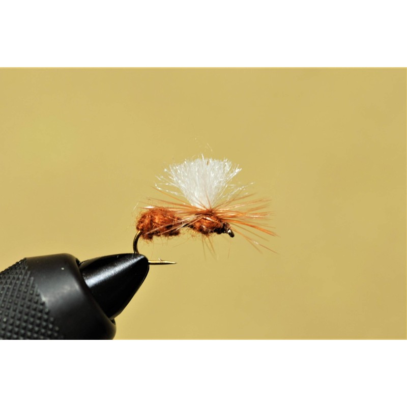 Fly Shop Complete Fly Set SD Selection Dry Fly Iwana