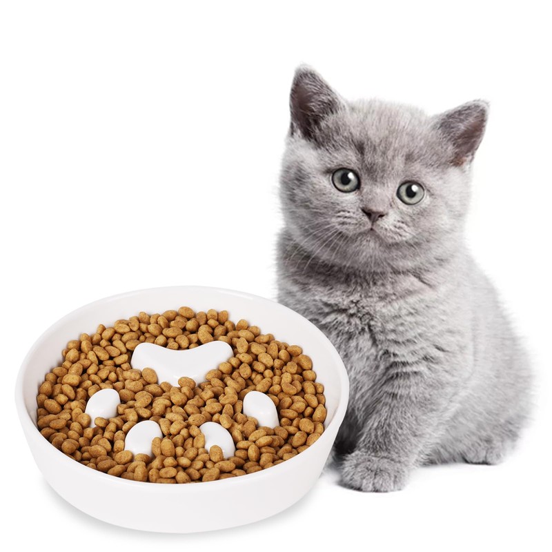 Slow Feeder Cat Bowls, Ceramic Fun Slow Eater Bowl for