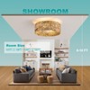Rattan Ceiling Fans with Light and Remote, Boho Fandelier Ceiling