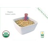 Organic Green Lentils Whole Raw, High Fiber Non-GMO-Bulk (2LB)