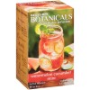 Bigelow Té Bigelow Botanicals Cold Water Infusion Sandía Pepino Ment