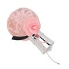 Female Perfume Rose Fragrance Long Lasting Pink Lace Bottle Fine