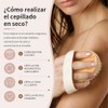 Janety Cepillo Exfoliante Corporal de Cerdas Naturales Firmes con Base