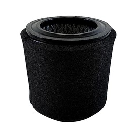 Replacement Air Intake Filter For Grainger 4ZJ94, 1R417