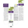 Olive (Olea europaea) Leaves Alcohol-Free Mother Tincture Naturalma - Liquid