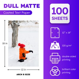Dull 80lb Text Digital Low Gloss Paper, Double Sided C2S, Coated, Perfect for Color Laser Printing, Design Proposals, Flyers, Brochures | Matte Finish | 12" x 18" | 100 Sheets