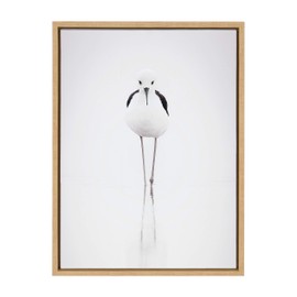 Kate and Laurel Sylvie Seagull Framed Canvas Wall Art by Simon Te of Tai Prints, 18x24 Natural