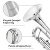 Bb Standard Instruments Silver Trumpet for Adults with Case Valve