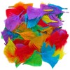Kids B Crafty 250 Coloured Feathers, Feathers For Crafts, Craft