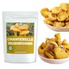 Dried Sliced Chanterelle Mushrooms - 2.5 oz, All-Natural Chanterelle for