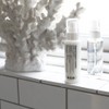 aoe [Herbal Serum Formula: Organic Lotion] <For sensitive dry skin>