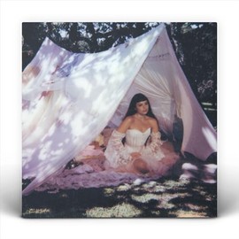 Maravilhosamente Bem [Vinyl LP]