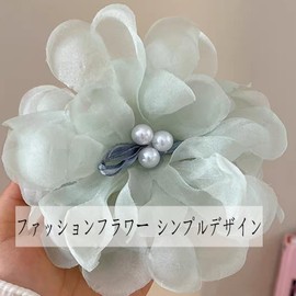 HAPVITAL Hair Claw Hair Clip, Office, Simple, Hair Accessory, Hair Ornament, Large, Office, Gift, Korean Style, Popular, Hair Clip, Stylish Clip, For Women (Blue Green)