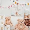Fabric Bunting Banner, 2 Pack Handmade Neutral String Banner with