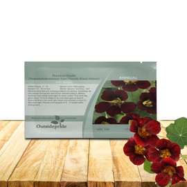 Outsidepride Tom Thumb Black Velvet Nasturtium Seeds - 200 Pcs Annual, Easy to Grow & Versatile, Flower Seeds for Planting Vibrant Blooms, Ideal for Gardens, Borders, and Pollinator Gardens