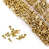 Rrina 1150Pcs M2 M3 Gold Plate Carbon Steel Small Screws
