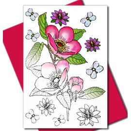 Art Eclect Adult Coloring Flower Greeting Cards for Birthdays, Anniversary, Thank You and Sympathy Cards (10 Cards and 10 Envelopes, Set Flowers B/Pink)
