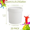 AKOLAFE 20 Pack Paint Buckets for Painting Empty Paint Cans