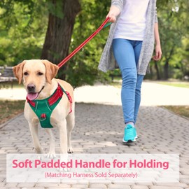 PHOEPET 5 Feet Dog Leash - Dual-Side Reflective - Soft Padded Handle - Fit for Walking, Training or Exploring Hiking, Camping(Red + Dark Green Base)