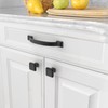Amerdeco 10 Pack Matte Black Cabinet Pulls 4 Inch(102mm) Hole