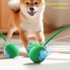 JinRui-T 2 PCS Active Rolling Ball with Tail for Dogs,Chewie