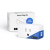 THIRDREALITY THIRDREALITY Smart Plug M1, Matter Over WiFi, Real-time Energy