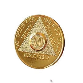 48 Year AA Medallion Glossy Gold Color Sobriety Chip