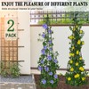 AlisisFores 2 Pack Garden Trellis for Climbing Plants Outdoor,63inch Tall