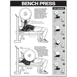 ALGRA Bench Press Laminated Chart (White/Light Grey, 18" x 24")