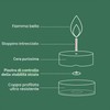 Bolsius Confezione da 8 Maxi candele tealight profumate - Mimosa