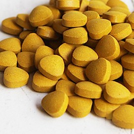 【 小島屋 】 本場 インド産 極上 秋ウコン 錠剤 110g