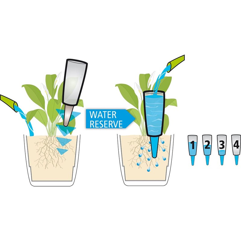 Scheurich Copa Plastic Water Reservoir, Colour: Copa M, Transparent-Clear, 9