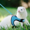Rypet Small Animal Harness and Leash - Soft Mesh Small