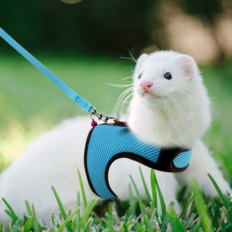 Rypet Small Animal Harness and Leash - Soft Mesh Small