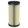 Pentair Pentek S1-BB Big Blue Sediment Water Filter, 10-Inch, Whole